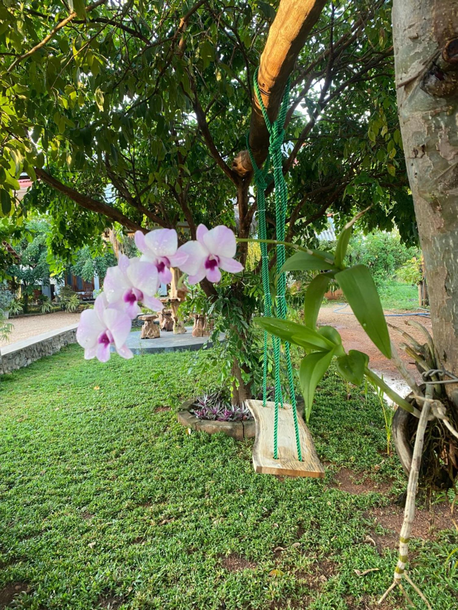 Hotel Hanguk Villa Dambulla Eksteriør bilde